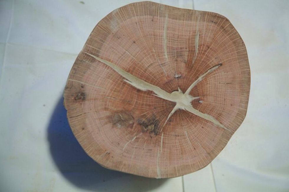 Let the filler dry anywhere from 15- minutes to 3-hours depending on depth of the crack. The wood filler will be hard to the touch when dry. Sand down so the filler is even with the wood