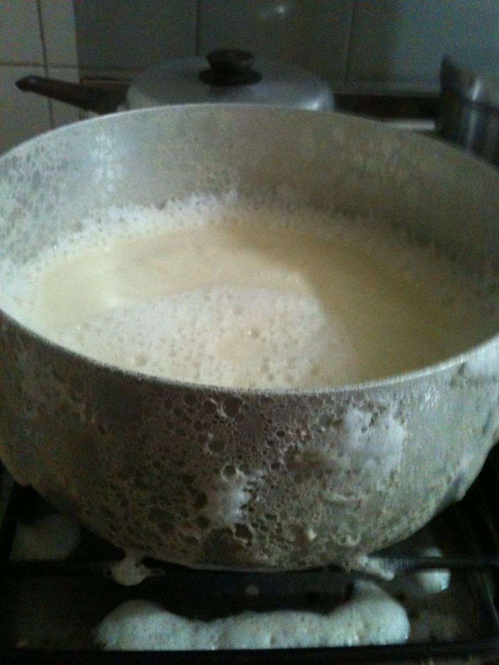 Let the milk boil, but I recommend to stay close and pay attention, so it won't happen with you. It took ages to clean it latter. LOL