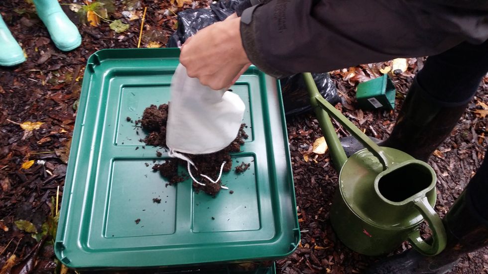Let the worms out of the bag! If you are transporting worms, please move them into their new home (composter) soon as possible. Be kind to your worms - don't leave them in a bag for more than a day.
