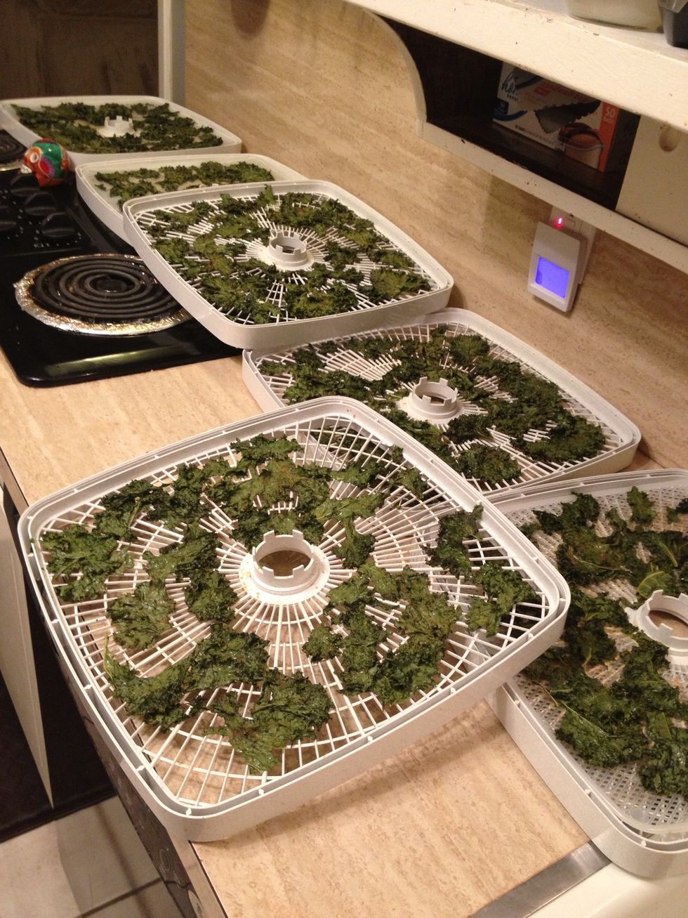 Let them cool completely before removing and storing.