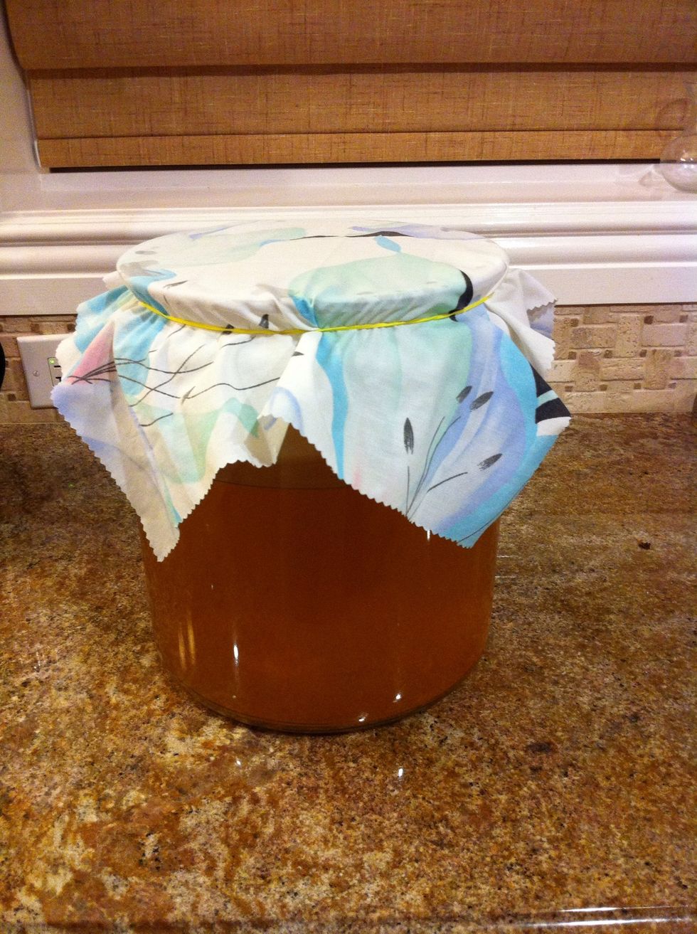 Let this be for 7 days and leave it alone. No touching no peaking! Taste w straw. If too sweet give it another day- to tart less time next time! Enjoy this miracle brew :)