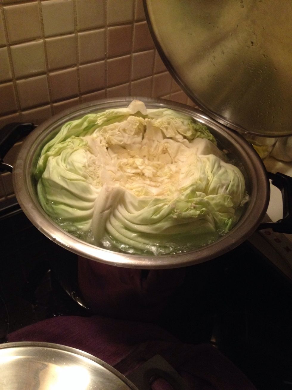 Let this side boil for 15-20 min