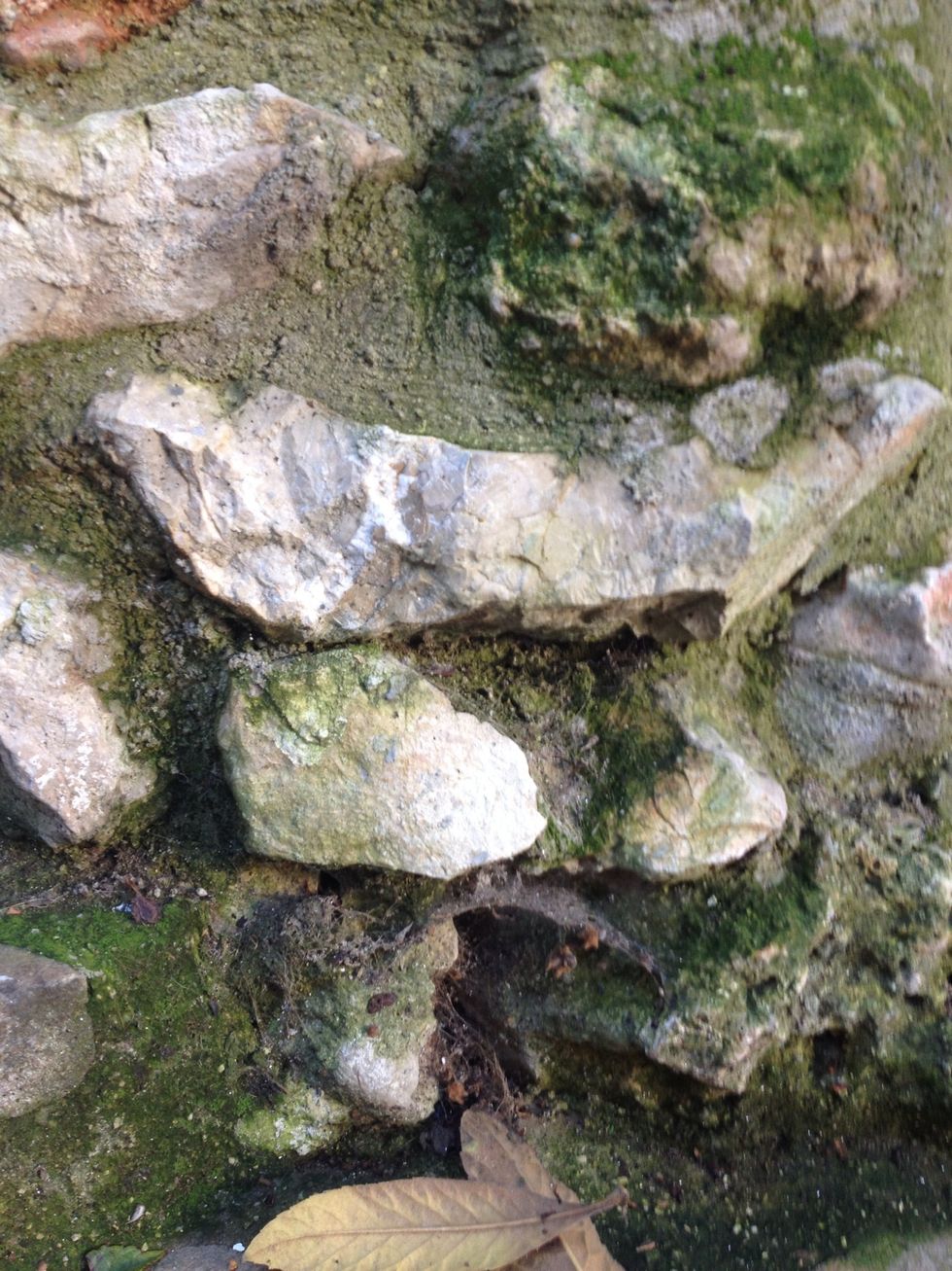 Let water do its thing. It will be happier. You will be less stressed. And Visitors will be entertained by a constantly shifting series of pattern on your walls.