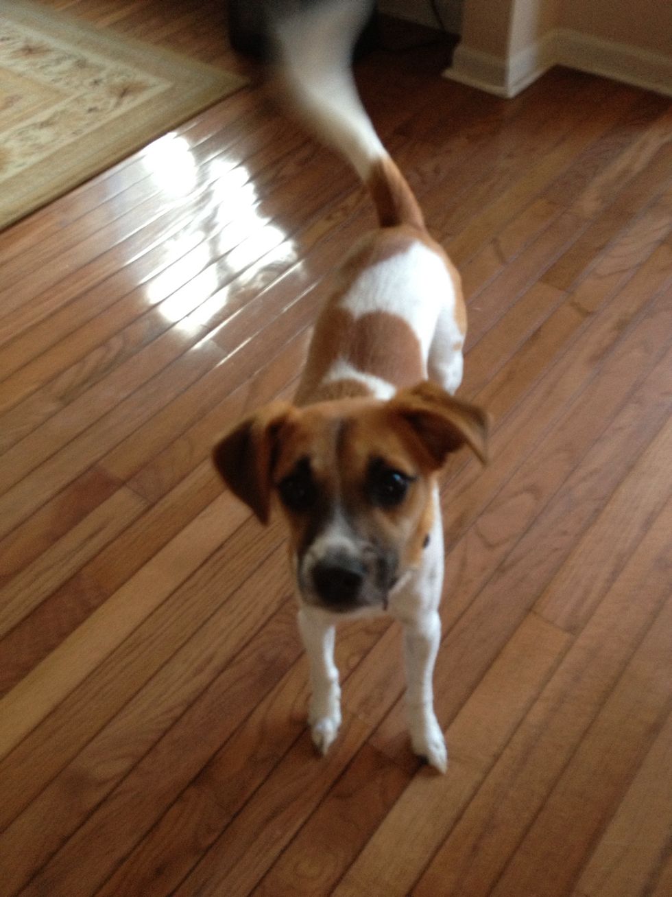 Let yourself be entertained in between task.