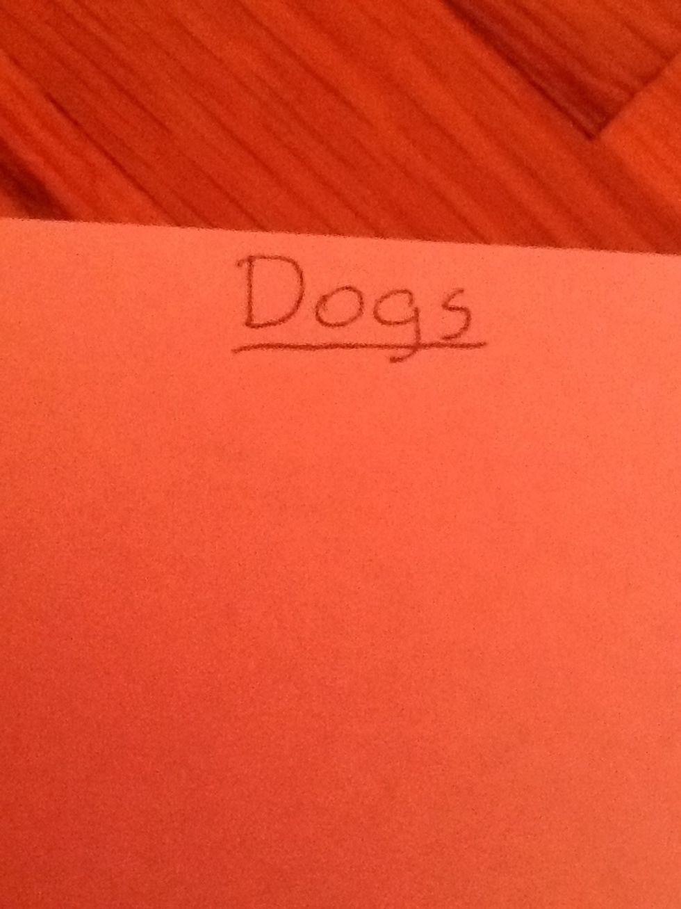 Lets start with Dogs