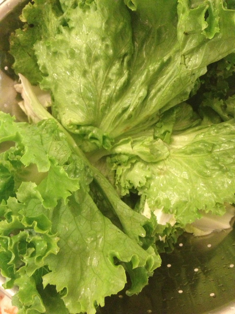 Lettuce is rinsed and ready!