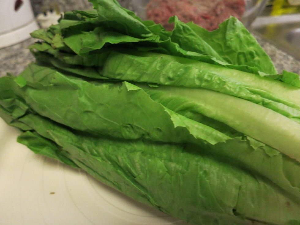 Lettuce