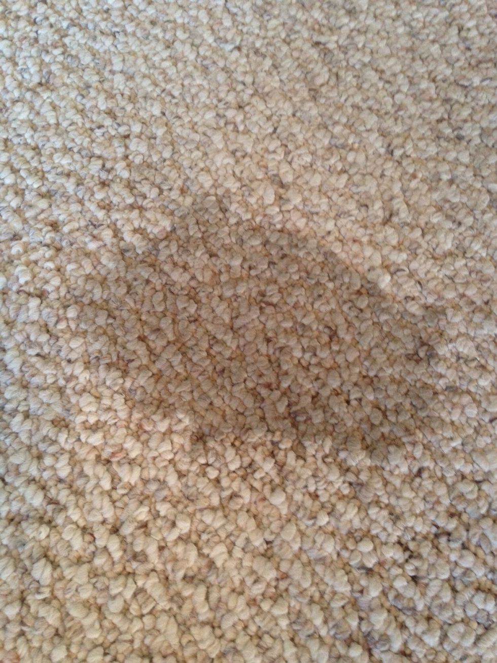 Liberally spray over carpet stain....