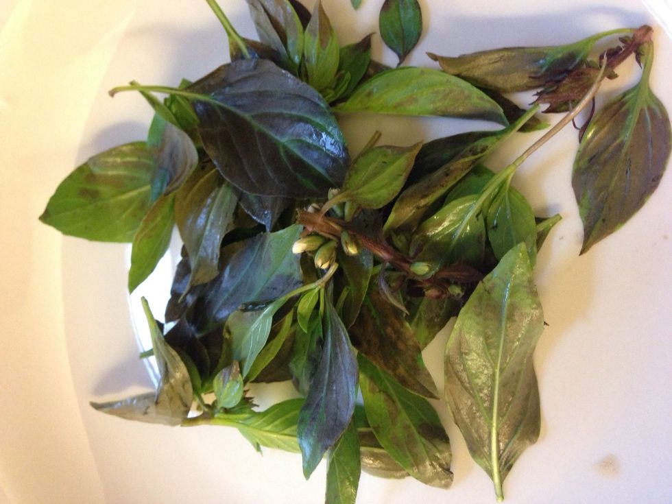 Lid the sweet basil leaf.