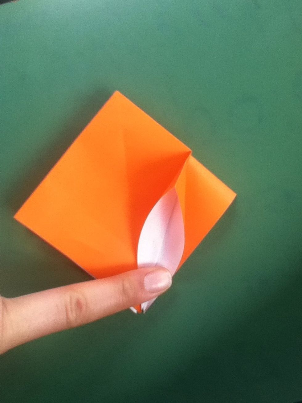 Lift and squash the flap