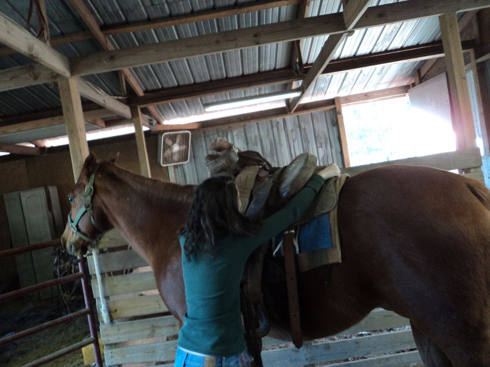 Lift the saddle onto the horse and place on top of the horse. Do not slide the saddle up the horses side, since that could make the blanket and the saddle fall off the horse when riding.