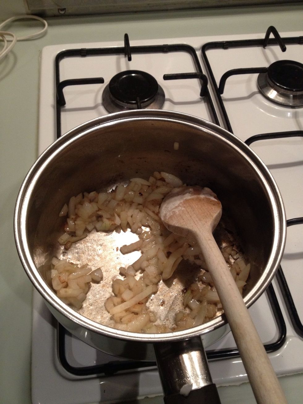 Lightly brown onions and garlic in pan with vegetable oil