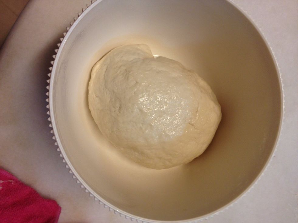 Lightly brush a large bowl with oil and turn the dough to coat.