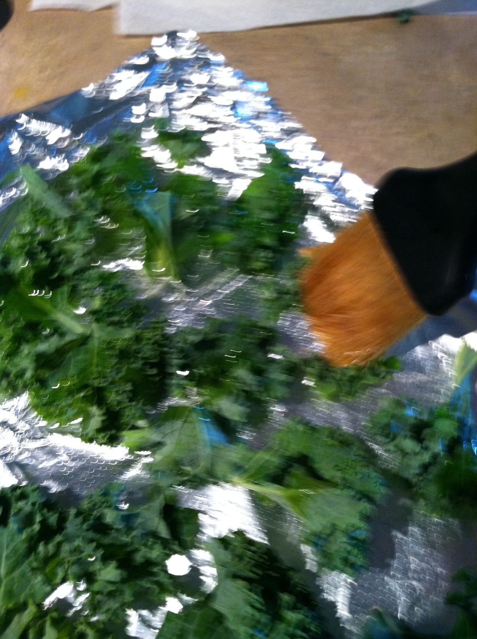 Lightly brush each piece of kale with the olive oil until your whole baking sheet is done. Remember, you don't have to soak the kale in oil -- this is a healthy snack, so it doesn't need much fat.