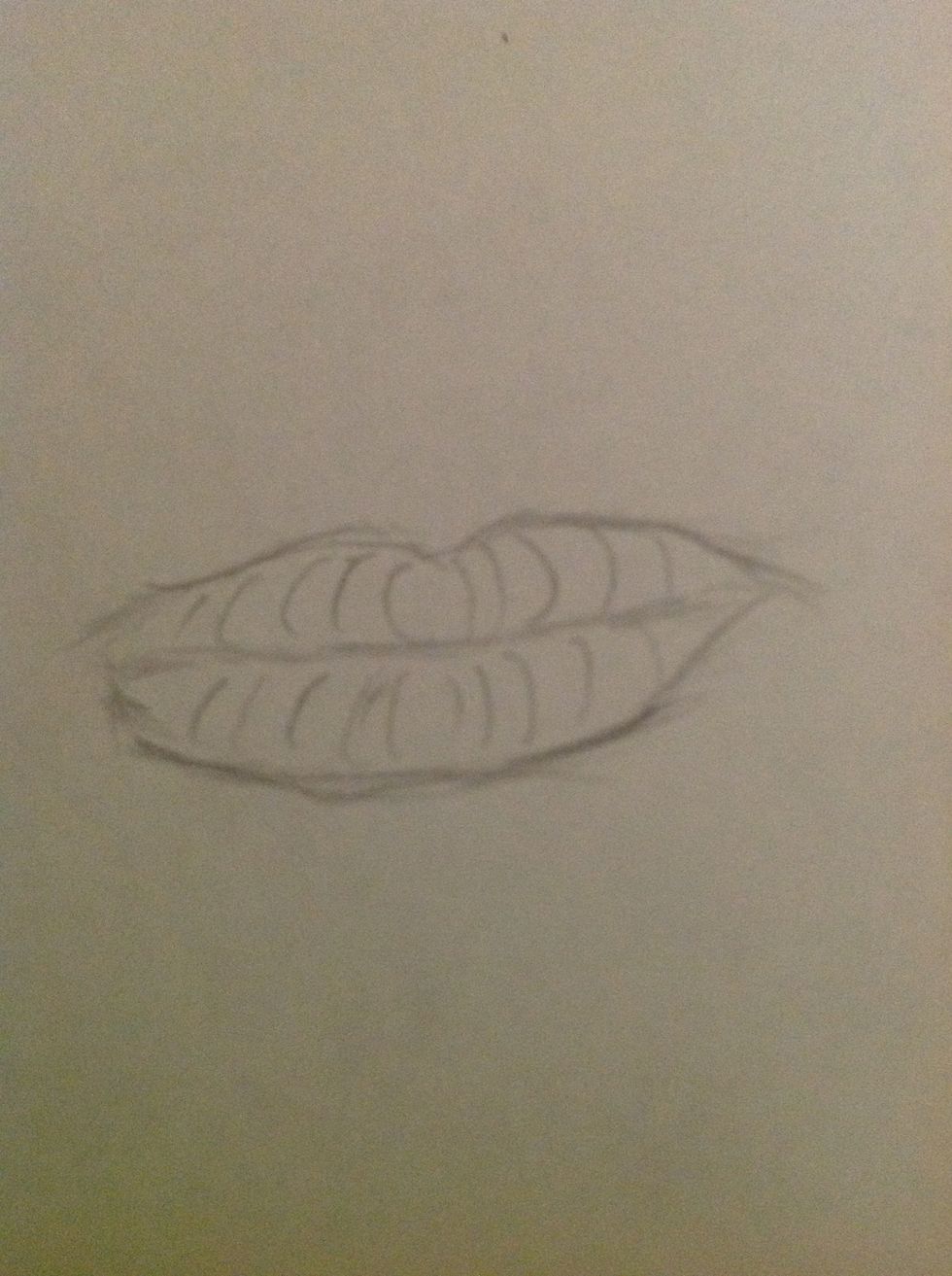 Lightly draw in the curves like so.