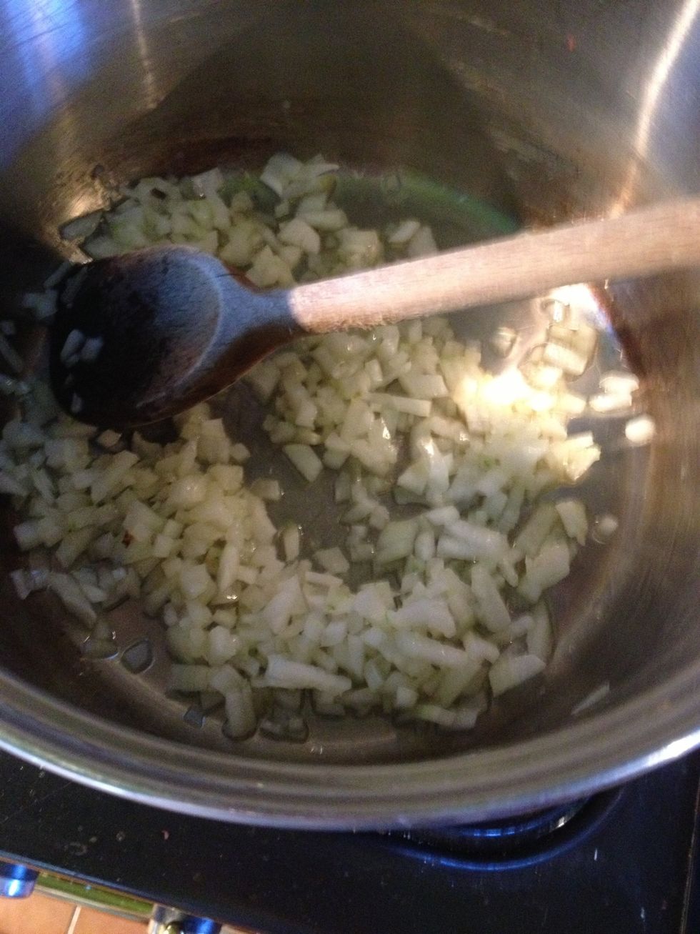 Lightly fry the onions (and carrot) but don't brown.