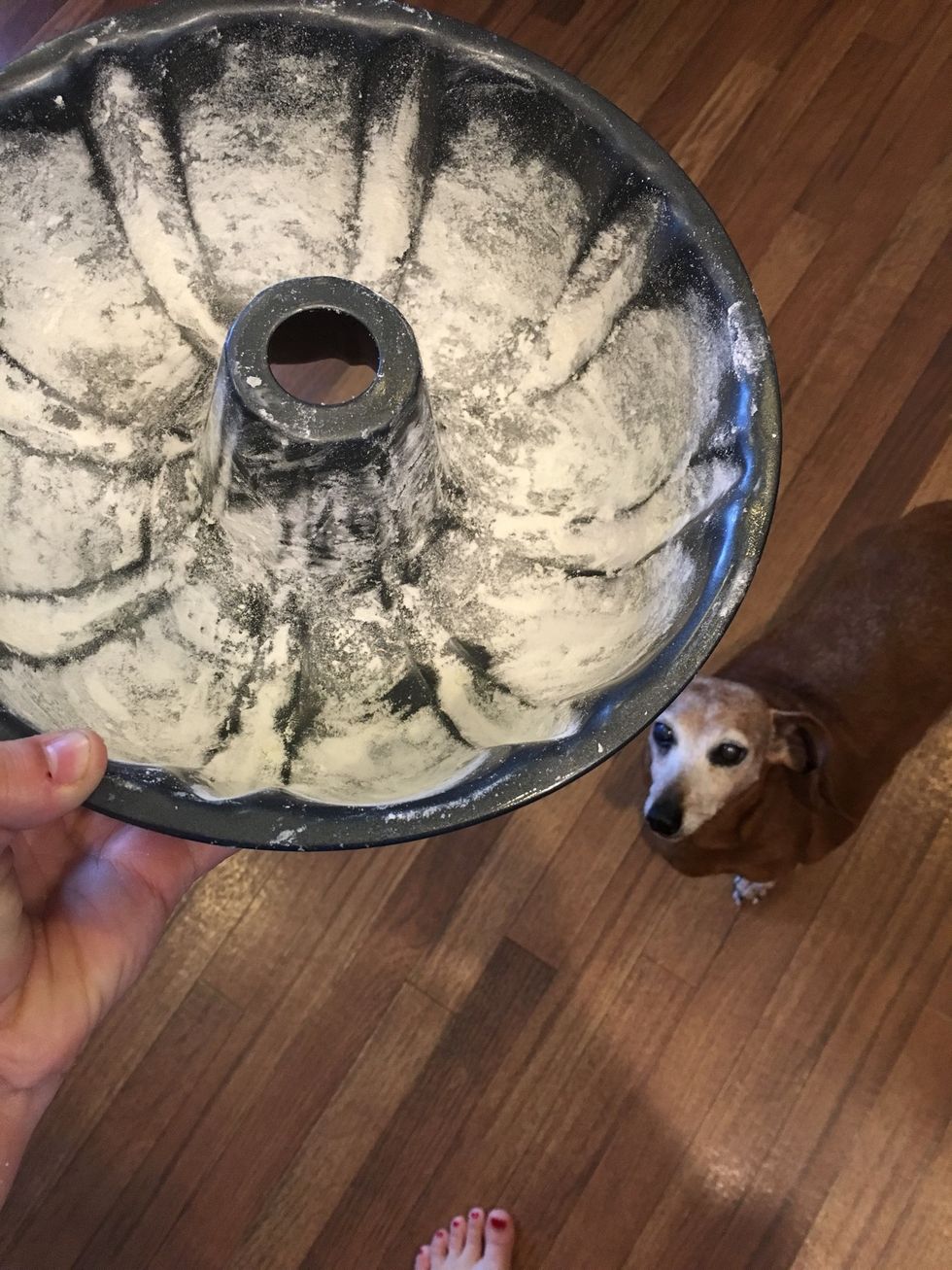 Lightly grease and flour the pan