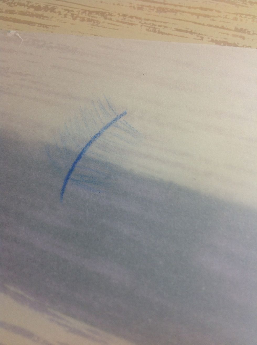 Lightly, like really lightly draw the feathers on, this will be your guides when designing the pattern.