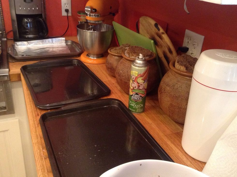 Lightly oil the baking sheets, or use ungreased silicone mats on the baking sheet. Parchment paper or tin foil do not work well, they tear and it is too hard to spread the mix onto.