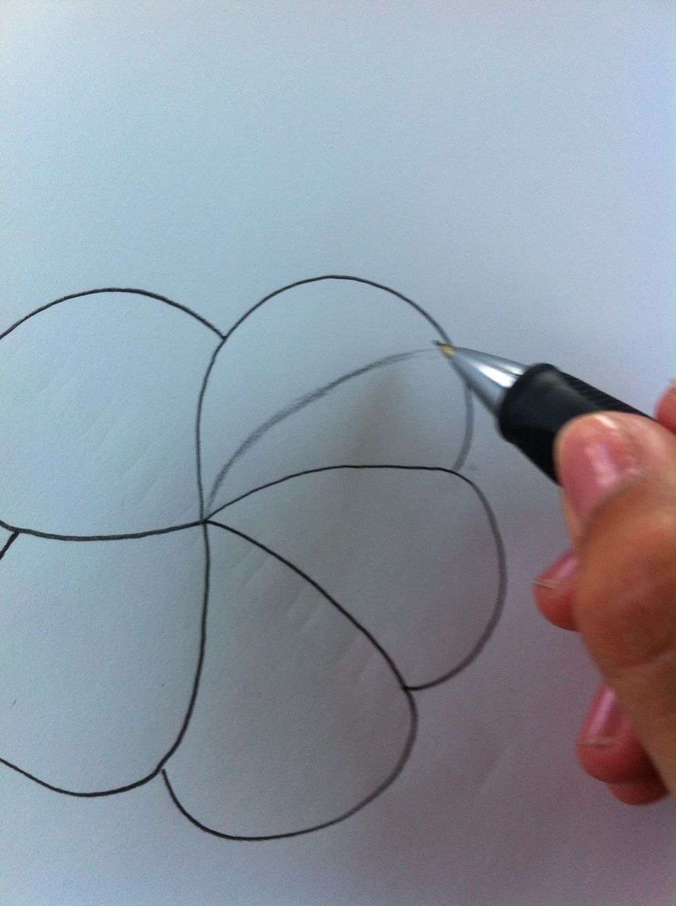 Lightly sketch lines from the center towards the end, curving them in the same way the pedals are curved