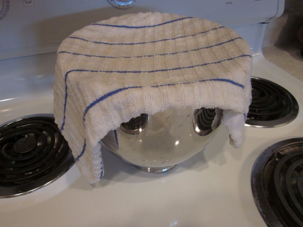 Lightly wet a kitchen towel. Cover the bowl and put it somewhere warm. Its going to sit here until the dough doubles in size. Usually 60 - 90 minutes.