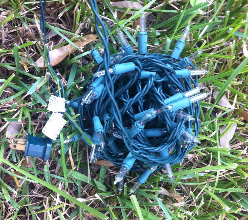 LIGHTS: Find a strand of green wire clear twinkle lights.