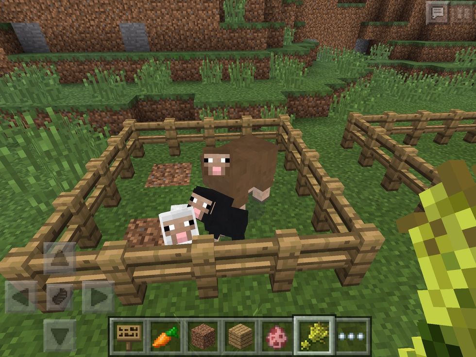 Like cows, they will follow you with wheat and can be bred with it as well.