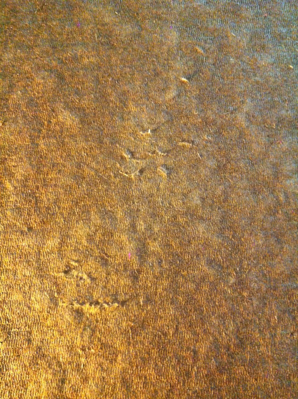 Like I said, relatively even. You don't need to get out the sandpaper.