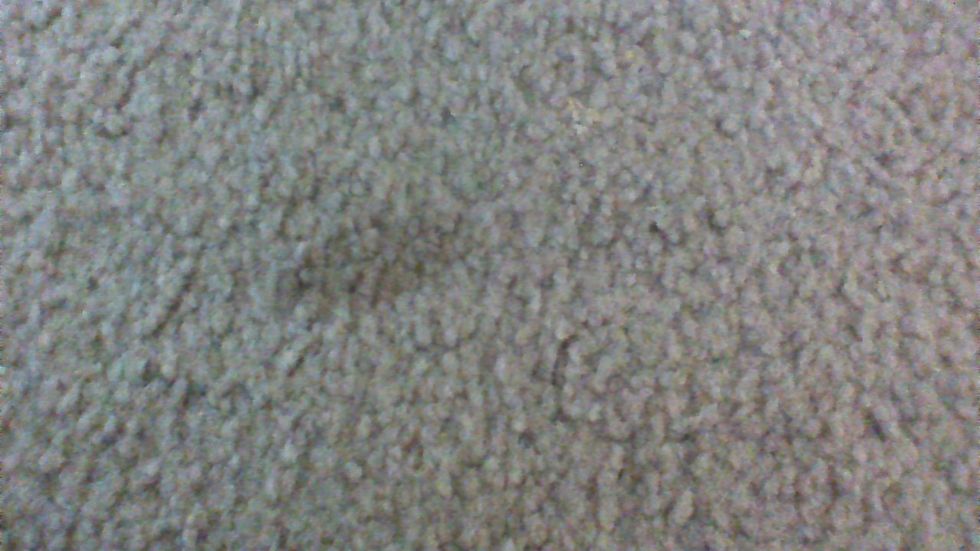 like many other people I have an issue with little stains like these in the high traffic areas in the house especially on the carpet near the kitchen entrance.
