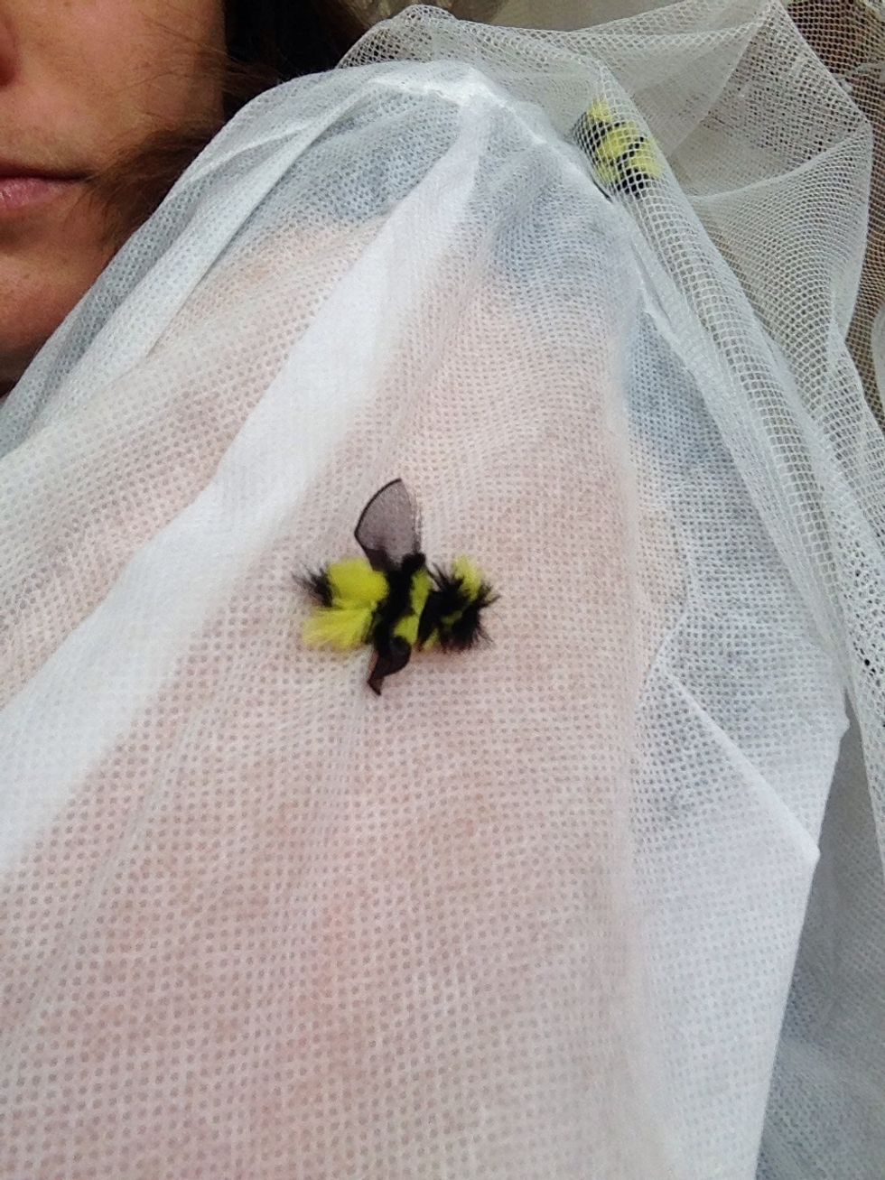 ...like this little guy...