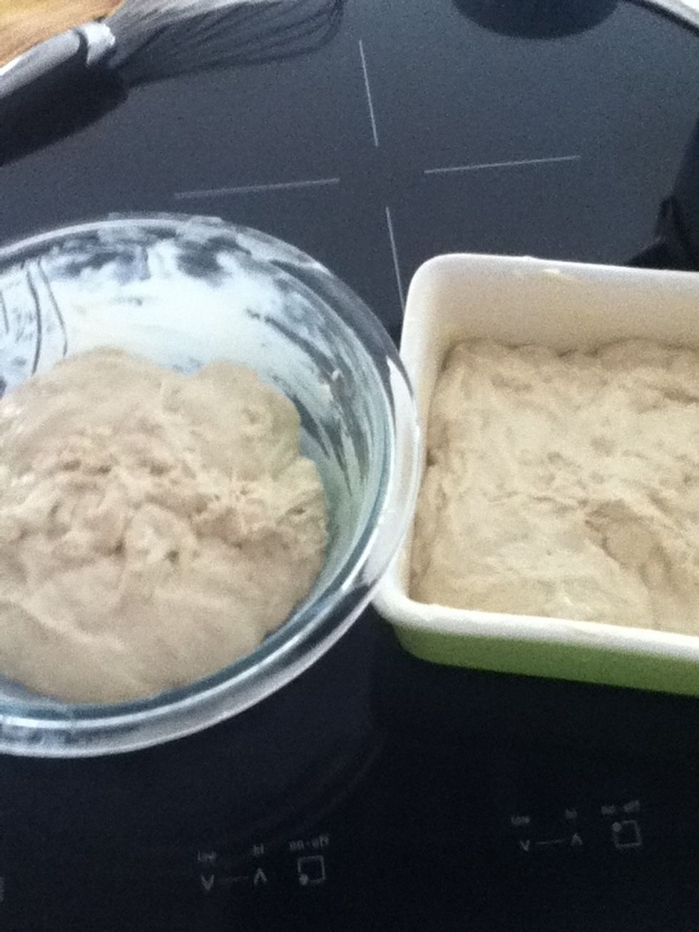 Like this^^ then let the dough rise a second time for 30 minutes.