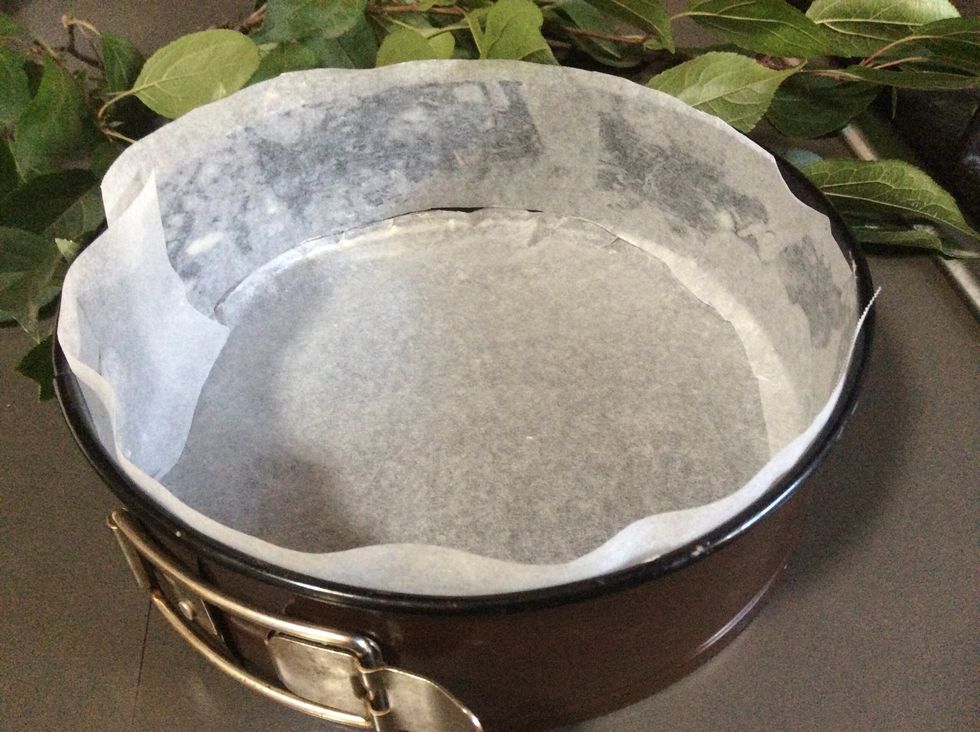 line a 20cm springform pan with baking paper