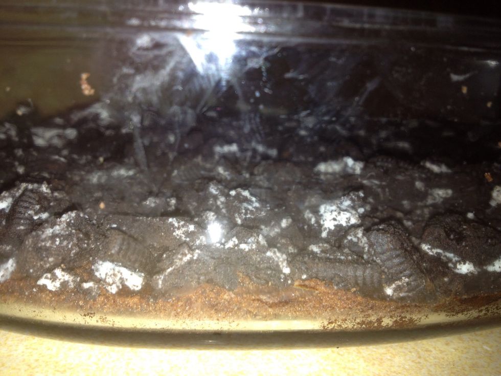 Line a triffle bowl or any deep cake pan with the chocolate pound cake. Then roughly crush 24 oreos (or more depending on the size of the pan). Spread the cookies over the cake.