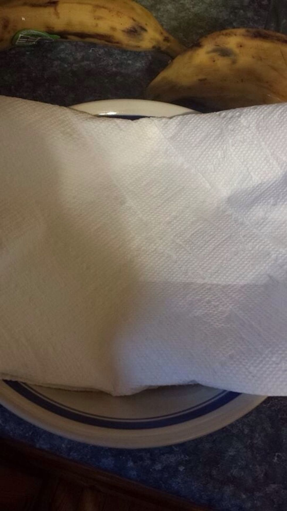 Line bowl or plate with paper towels.