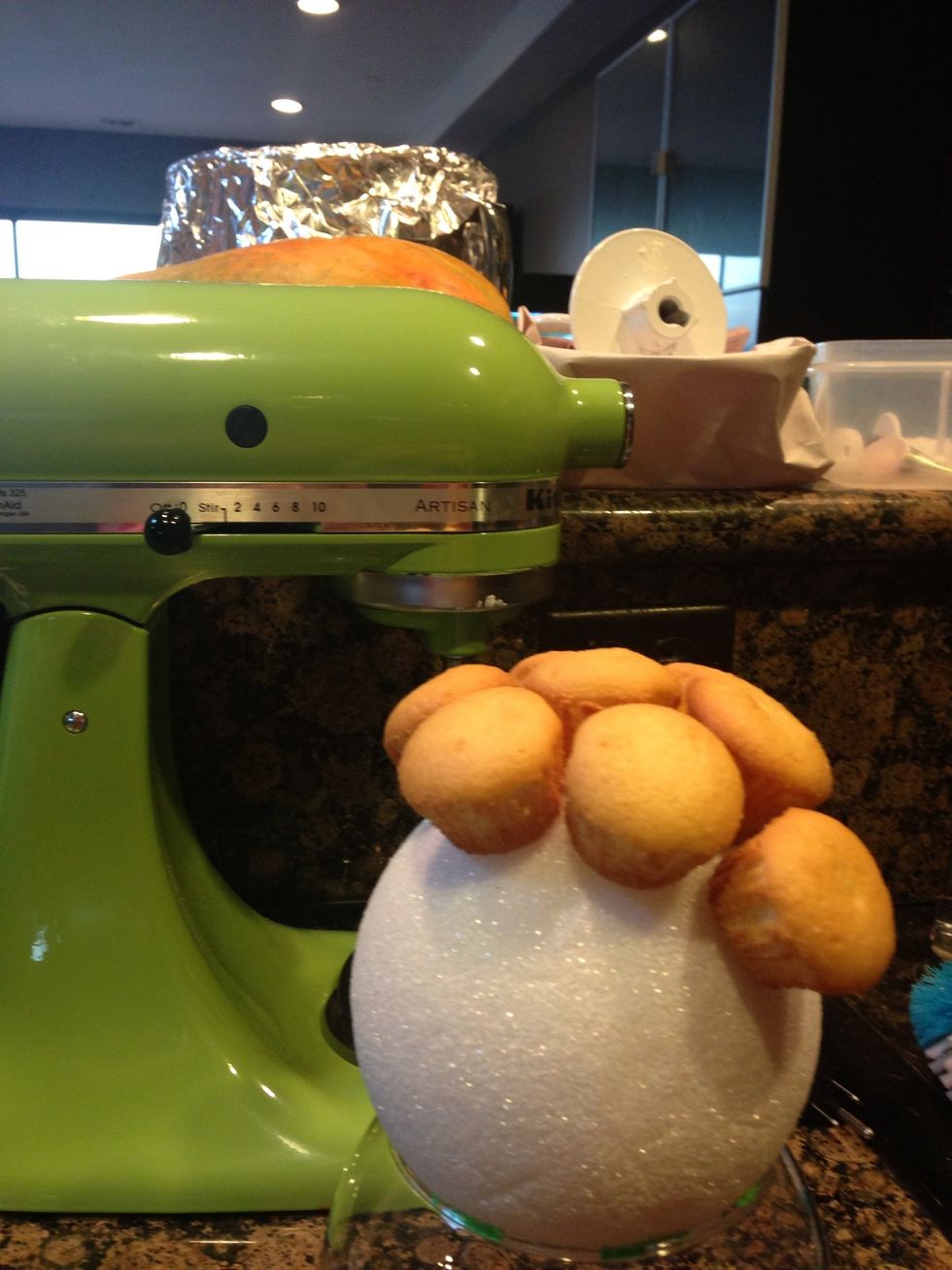 Line cupcake on ball using toothpicks