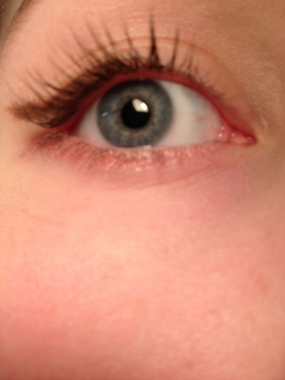 Line lower lashline.