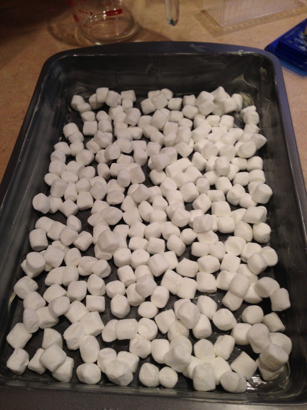 Line pan with marshmallows