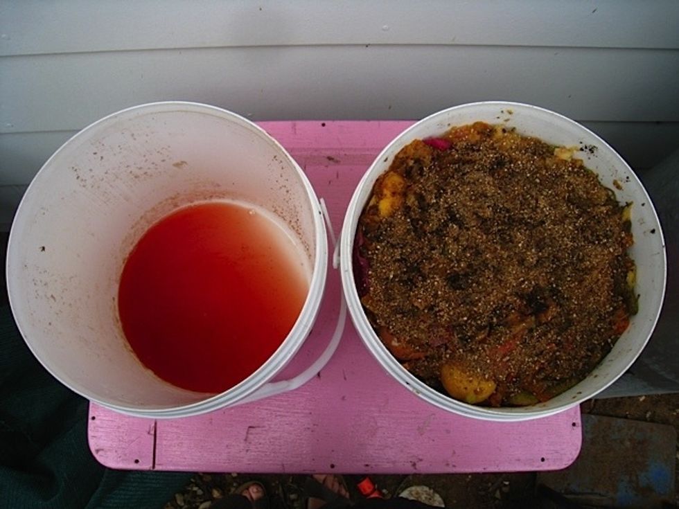 liquid fertiliser drains into bottom bucket, if your seals are working it smells like ginger beer. Water down 10/1 with water, use on plants, dig scraps into garden approx 8wks after final layer :)
