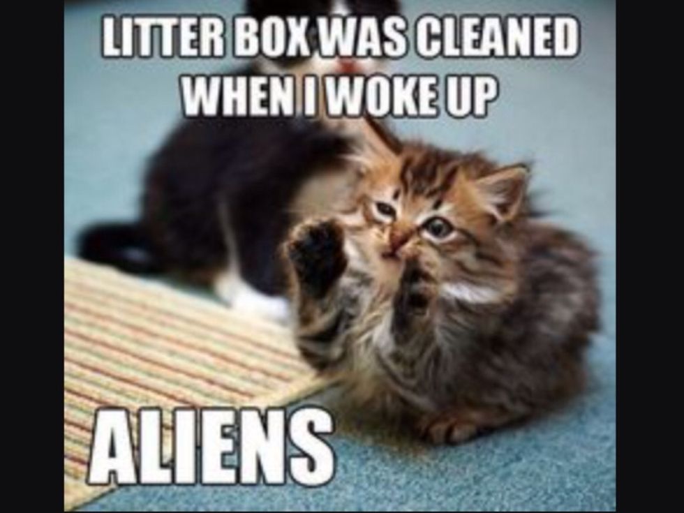 Litter bow was cleaned up when I woke up\n\nAliens!