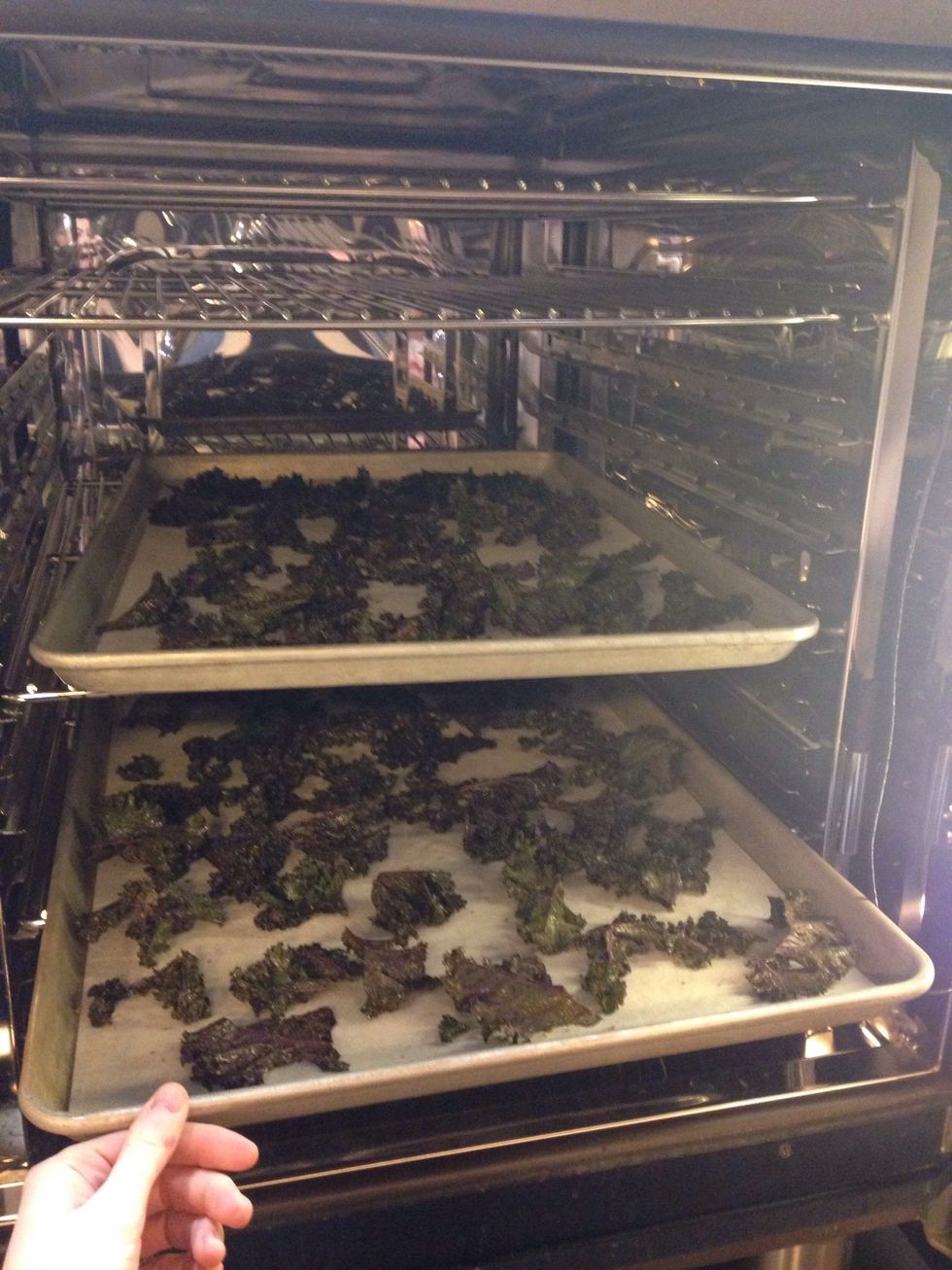 Load kale chips into the CTP 7.20.