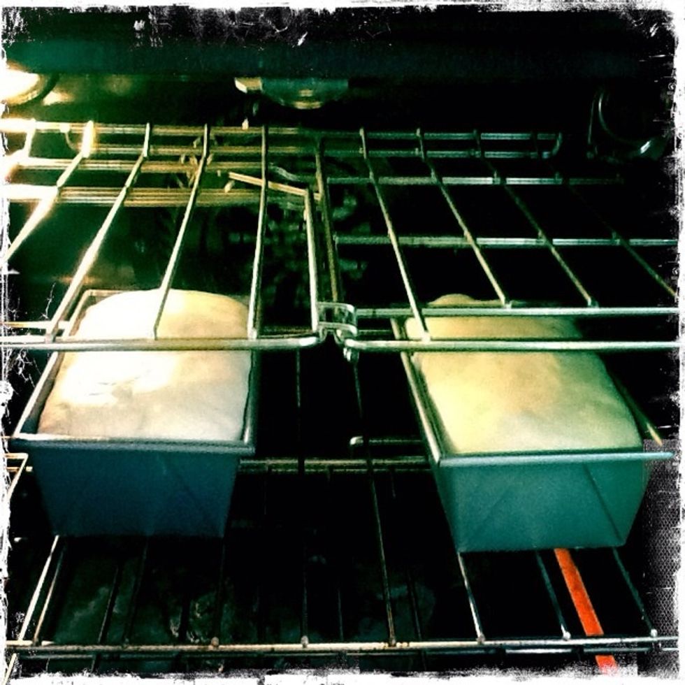 Load them on the center rack and bake 30 minutes.