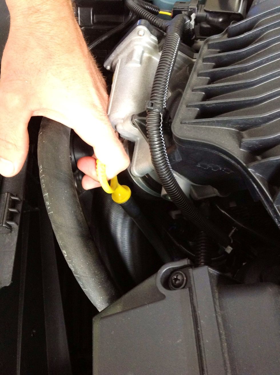 Locate dipstick and pull out of car