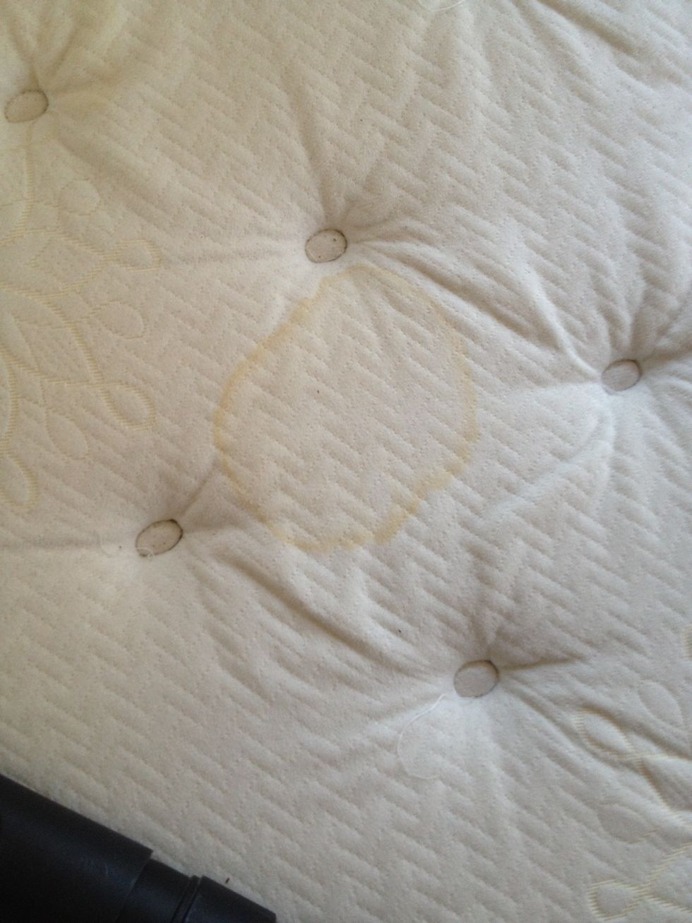 Locate Stain