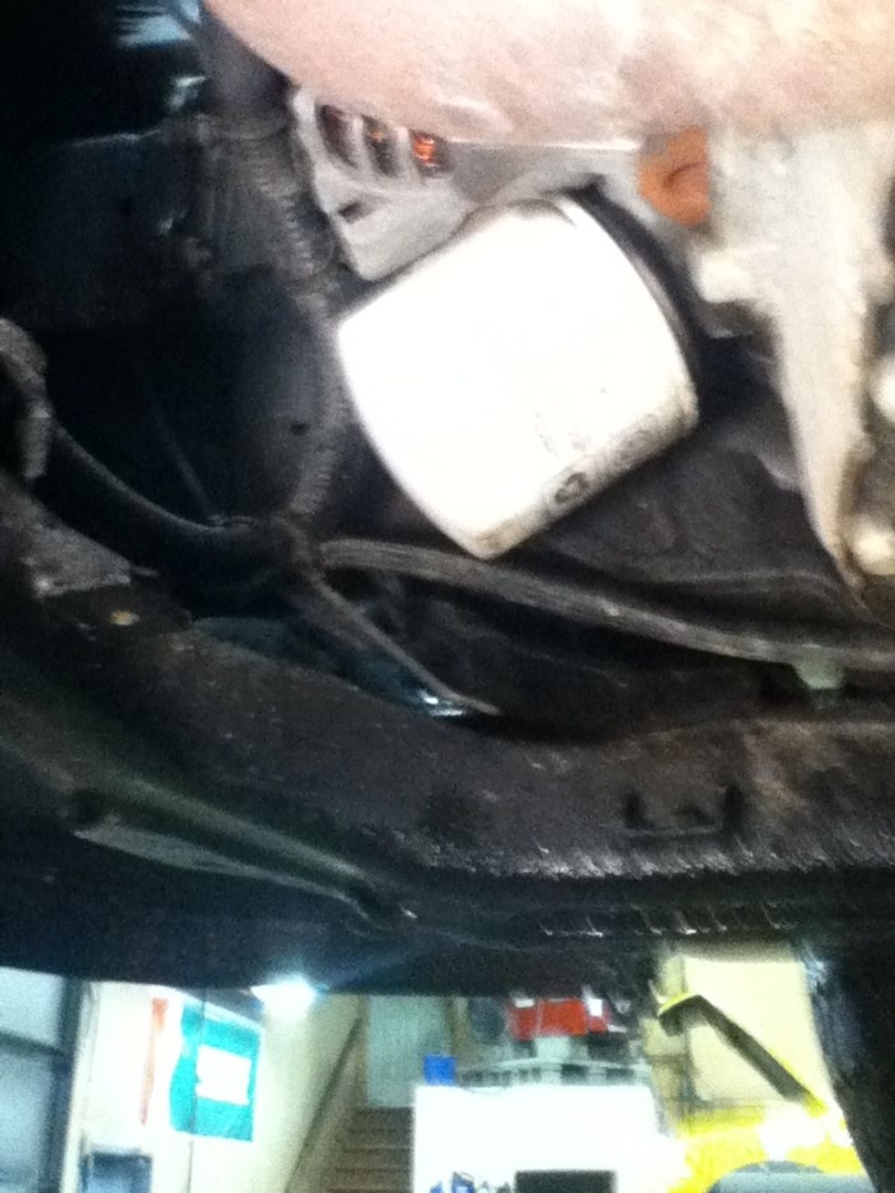 locate the oil filter