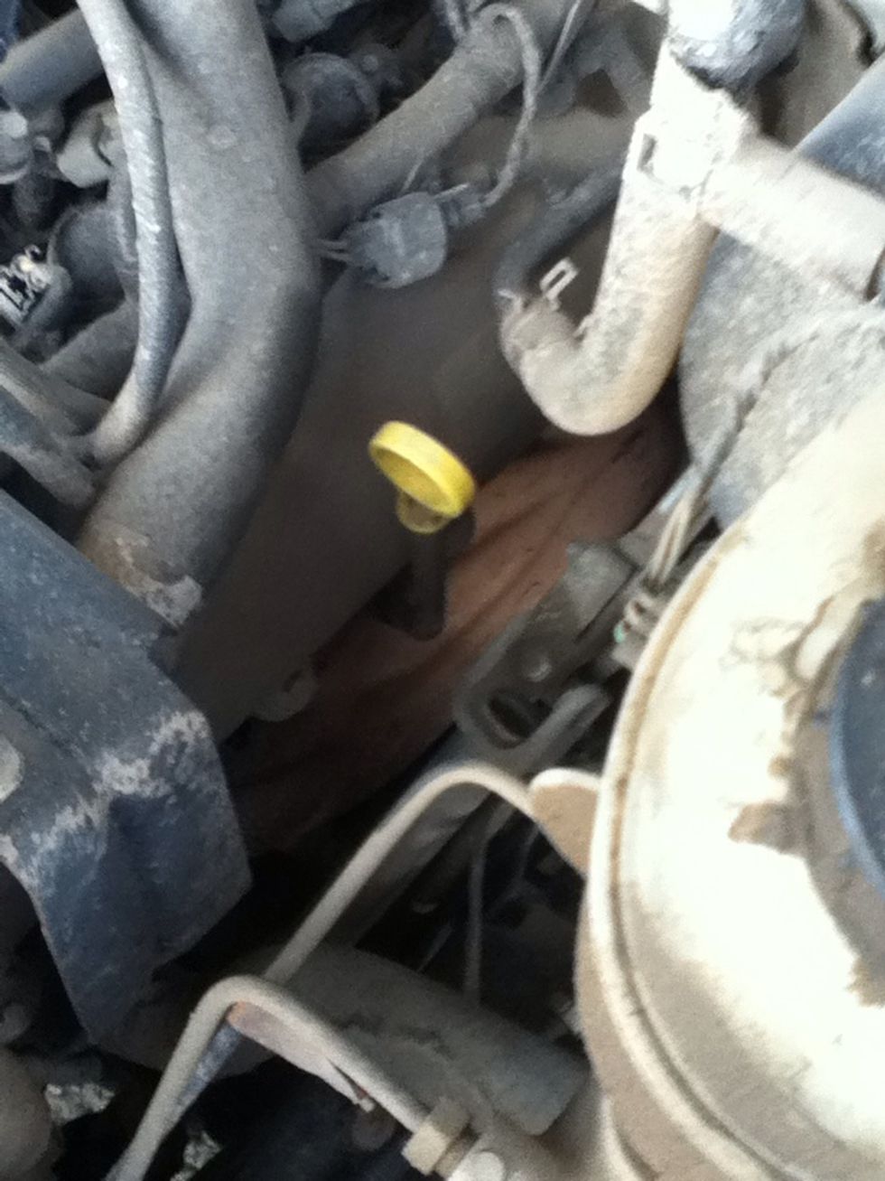 Locate the oil stick. It is usually brightly colored and easy to find.