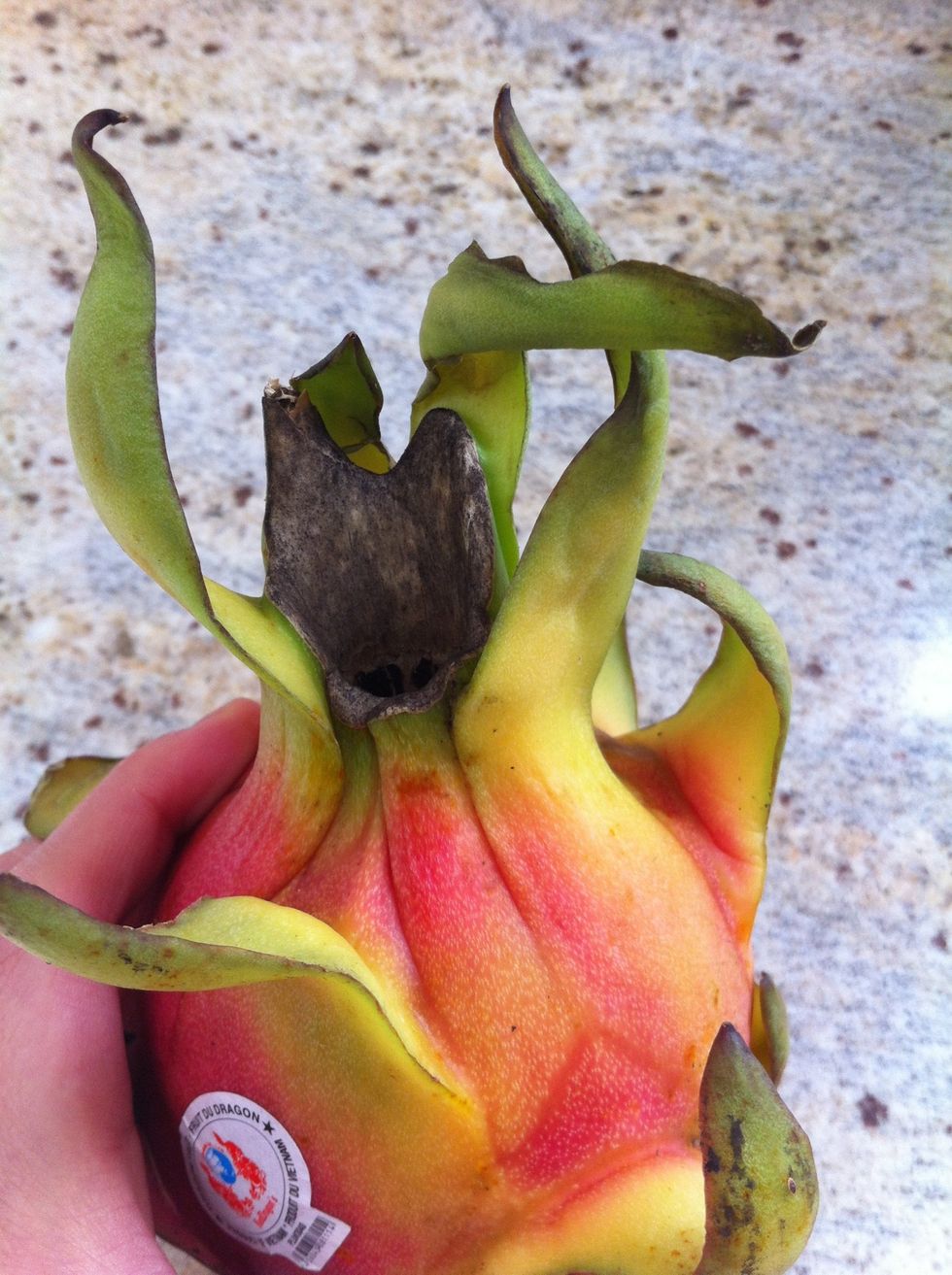 Locate the top part it the Dragonfruit.