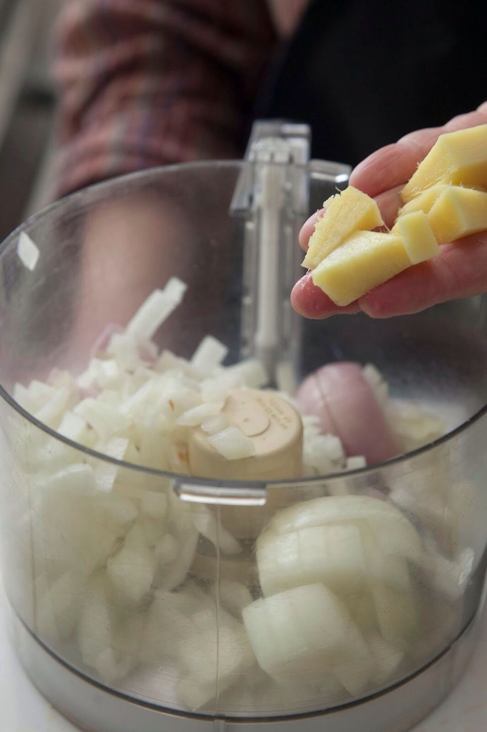 Locate your food processor, when you find it, fill it with 1 and 1/2 cups of cilantro, 1/2 inch piece of ginger, 1 shallot peeled and chopped, 1 cup of chopped fresh onion...