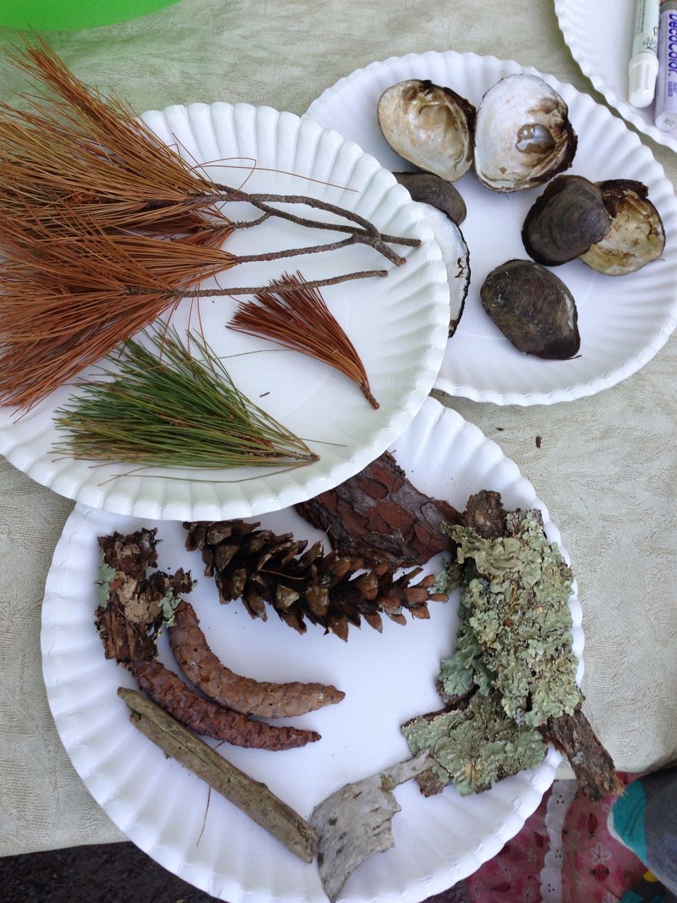 Look at all the fun things we found on the ground near our campsite we can use to create with!