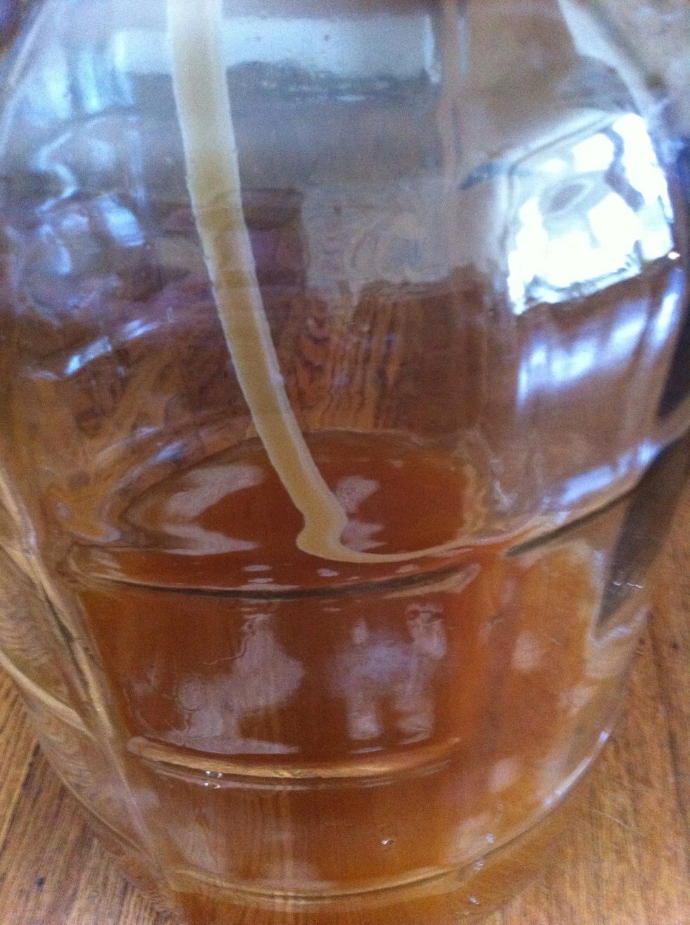 look at it. smell it. you can put it in your mouth. taste it.