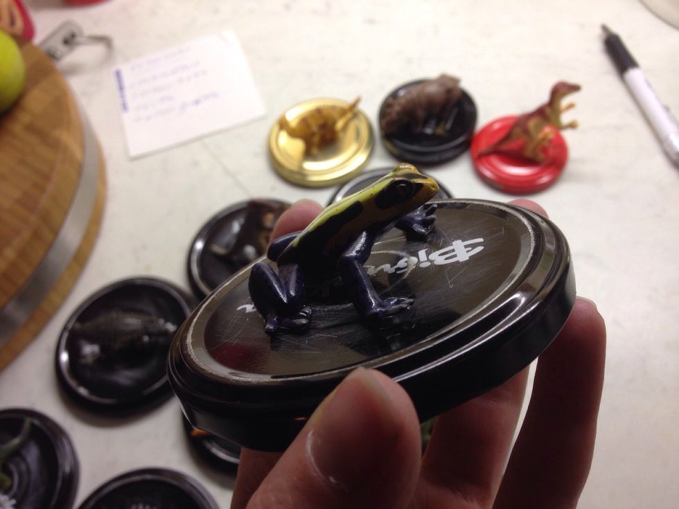 Look at that, the frog is attached to the lid :-)